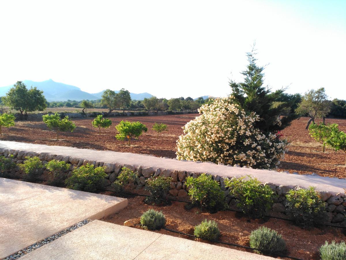 Son Capellot Villa เฟลานิทซ์ ภายนอก รูปภาพ