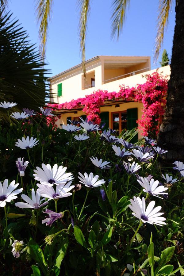 Son Capellot Villa เฟลานิทซ์ ภายนอก รูปภาพ